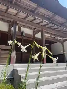 国上寺(新潟県)(2025年08月29日(金) 10時05分28秒投稿)