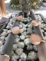 柳谷観音 楊谷寺の手水舎