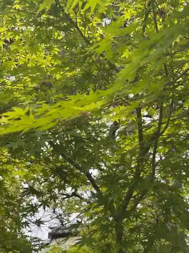  智積院(京都府)