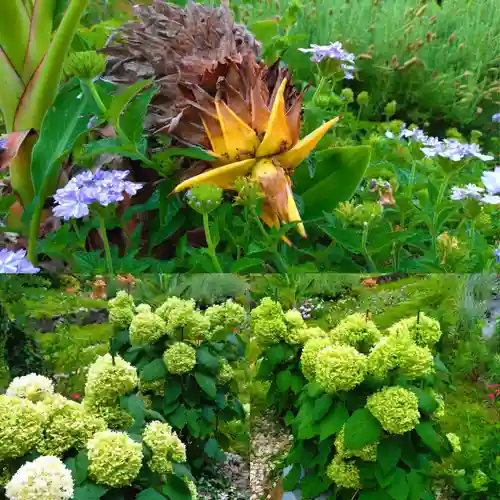 寿量山　速成寺(奈良県)