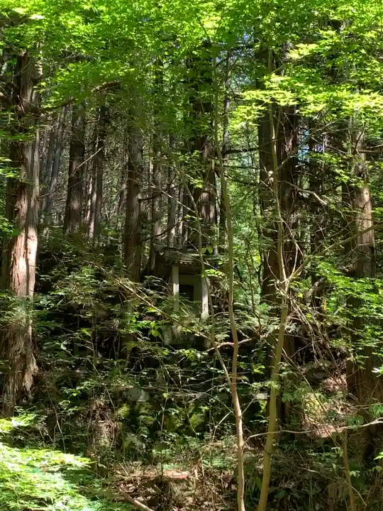 白山比咩神社の自然