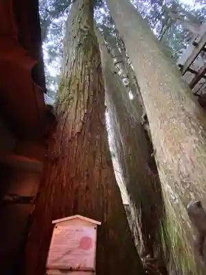 清高稲荷社(和歌山県)