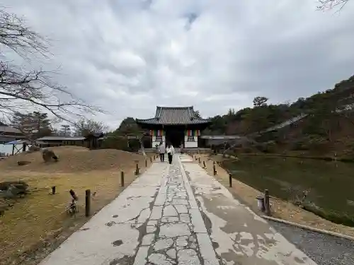 高台寺（高台寿聖禅寺・高臺寺）の{uncategorized: "未分類", other: "その他", undefined: "問題あり", building: "その他建物", grave: "お墓", sacred_gate: "鳥居", guardian: "狛犬", statue: "像", buddha: "仏像", history: "歴史", nature: "自然", garden: "庭園", animal: "動物", pagoda: "塔", temizu: "手水舎", mountain_gate: "山門・神門", sanctuary: "本殿・本堂", subordinate: "末社・摂社", art: "芸術", scenery: "景色", jizo: "地蔵", ema: "絵馬", goshuin: "御朱印", omikuji: "おみくじ", items: "授与品その他", amulet: "お守り", goshuincho: "御朱印帳", eats: "食事", festival: "お祭り", votive_dance: "神楽", shichigosan: "七五三参", wedding: "結婚式", experience: "体験その他", initially: "初詣", around: "周辺", anti_infection: "感染症対策"}