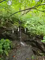 戸隠神社九頭龍社(長野県)