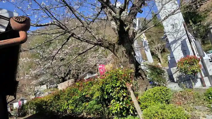 出雲大神宮(京都府)