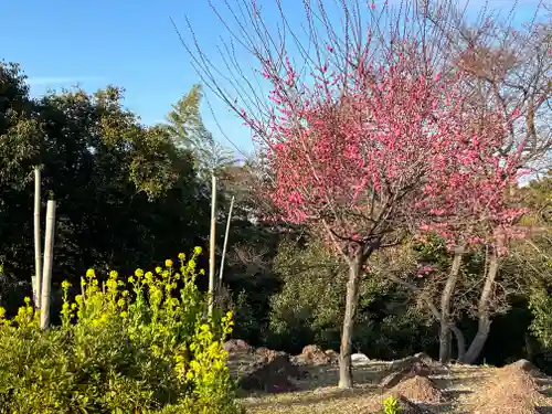 石清水八幡宮(京都府)