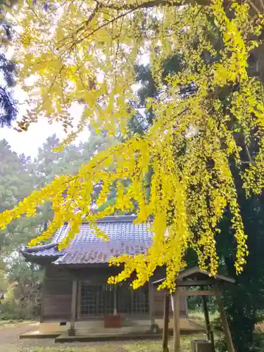 岡見八坂神社の本殿・本堂