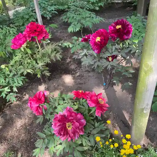 上野東照宮の自然