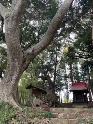 香取神社(千葉県)