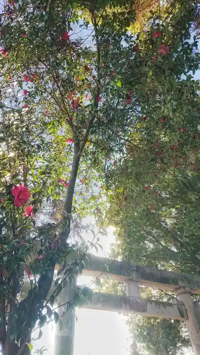 十二所社の自然