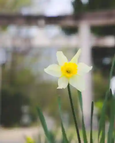 青森縣護國神社(青森県)