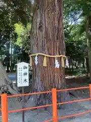 息栖神社の自然