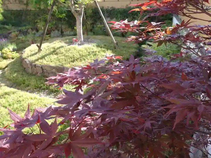 寿量山 速成寺(奈良県)