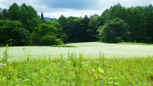 戸隠神社火之御子社の周辺