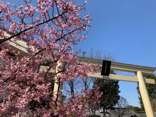 阿豆佐味天神社 立川水天宮の鳥居