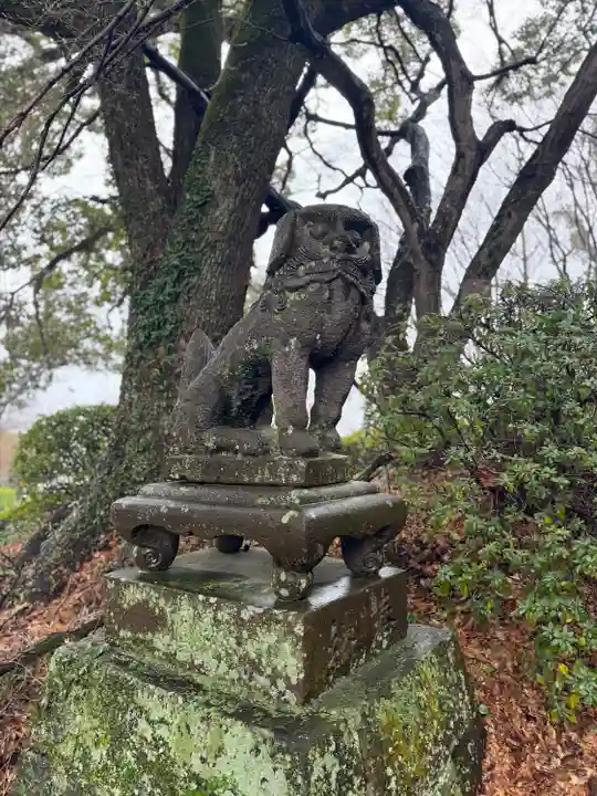 菊池神社(熊本県)