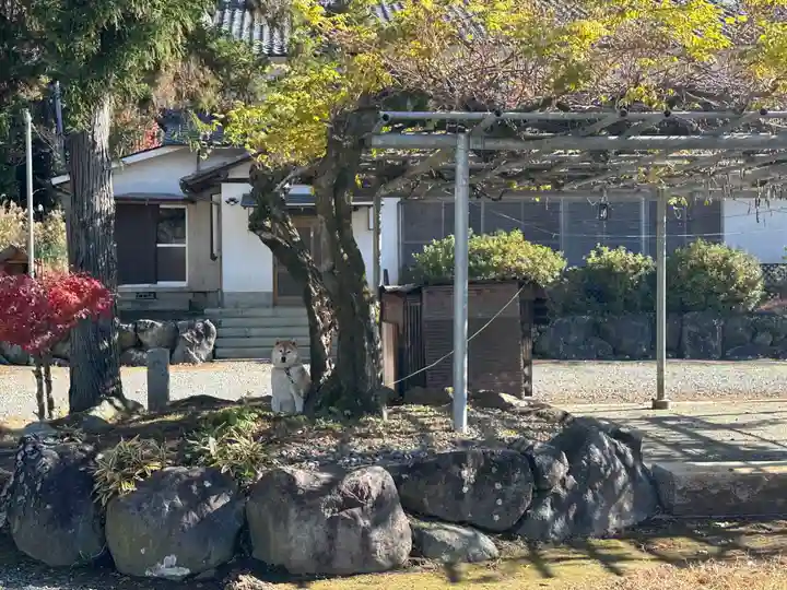 嶽之下宮(静岡県)