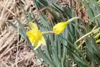 国宝 大法寺の自然