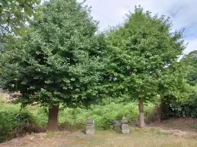 熊野神社（上山口）(神奈川県)