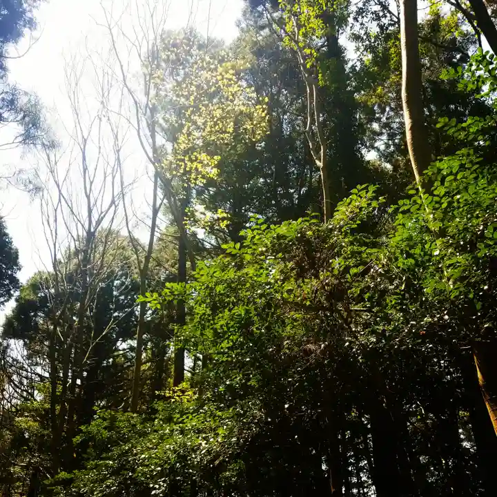 鹿島神宮の自然