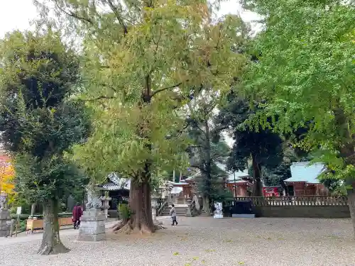 岩槻久伊豆神社(埼玉県)