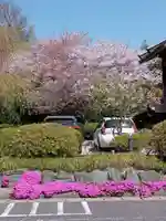 櫻木神社の自然