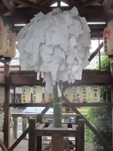 縣神社のおみくじ