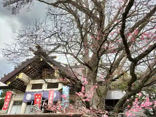 豊平神社の自然