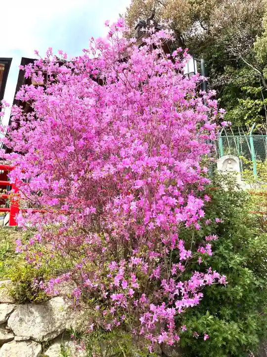 中山寺(兵庫県)
