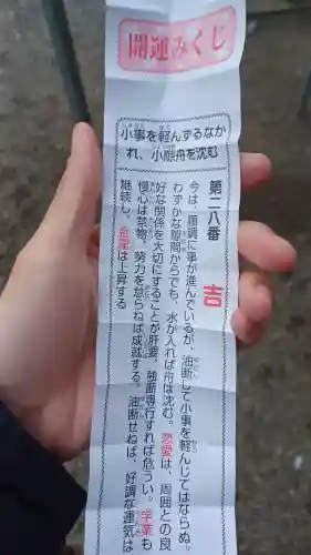 代々木八幡宮のおみくじ