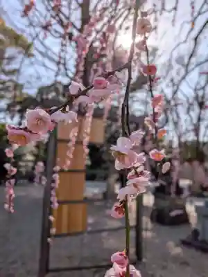 布多天神社(東京都)