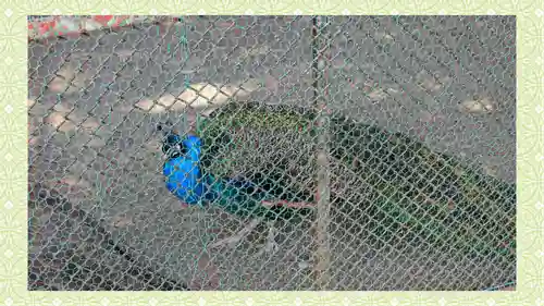 岩槻久伊豆神社(埼玉県)