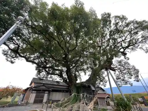 隠家の森(福岡県)
