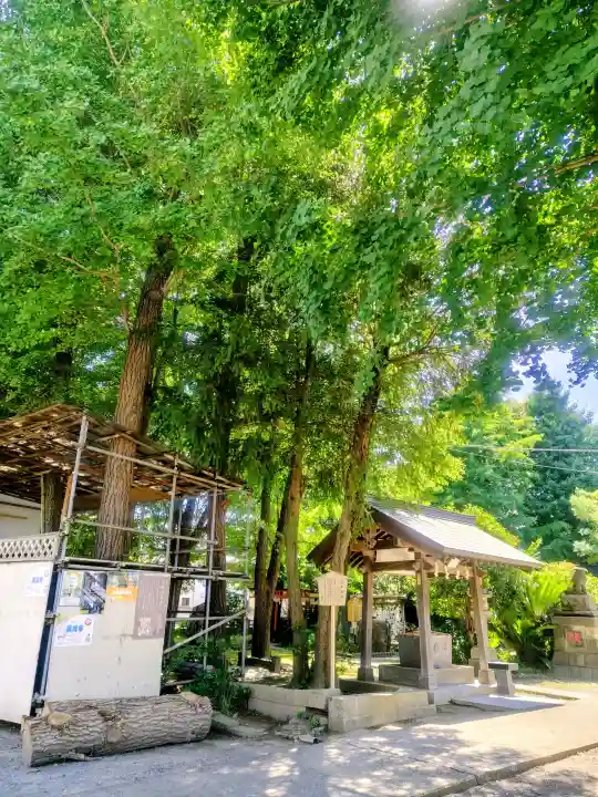 若宮八幡宮 (神奈川県)
