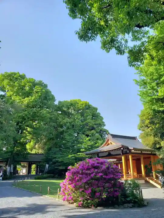 阿佐ヶ谷神明宮(東京都)
