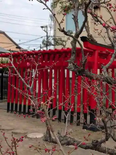 白山神社(東京都)