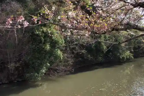 武田神社の庭園