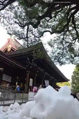 明治神宮(東京都)