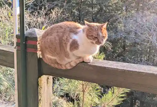 唐澤山神社(栃木県)