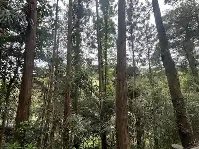猿田神社(千葉県)