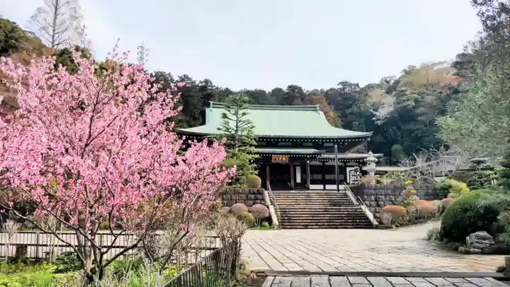龍寳寺(龍宝寺)(神奈川県)