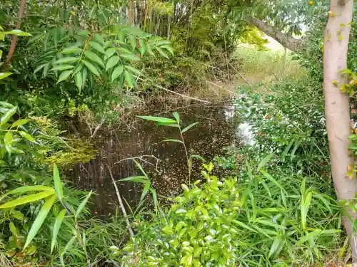十五所社（拾五所社）の自然