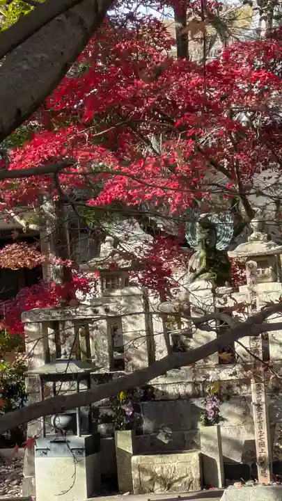 光明寺(粟生光明寺)(京都府)