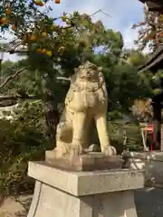 姫路神社の狛犬