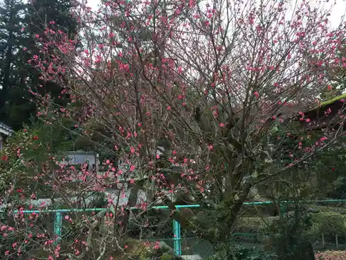 須我神社(島根県)
