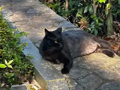 王子神社(徳島県)
