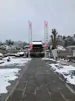 白鷺神社の{uncategorized: "未分類", other: "その他", undefined: "問題あり", building: "その他建物", grave: "お墓", sacred_gate: "鳥居", guardian: "狛犬", statue: "像", buddha: "仏像", history: "歴史", nature: "自然", garden: "庭園", animal: "動物", pagoda: "塔", temizu: "手水舎", mountain_gate: "山門・神門", sanctuary: "本殿・本堂", subordinate: "末社・摂社", art: "芸術", scenery: "景色", jizo: "地蔵", ema: "絵馬", goshuin: "御朱印", omikuji: "おみくじ", items: "授与品その他", amulet: "お守り", goshuincho: "御朱印帳", eats: "食事", festival: "お祭り", votive_dance: "神楽", shichigosan: "七五三参", wedding: "結婚式", experience: "体験その他", initially: "初詣", around: "周辺", anti_infection: "感染症対策"}