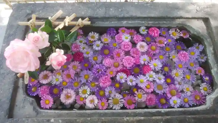 北広島市総鎮守 廣島神社の手水舎