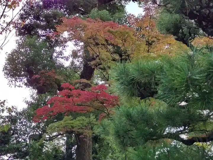 三十三間堂本坊 妙法院門跡(京都府)
