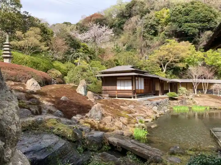 海蔵寺の庭園